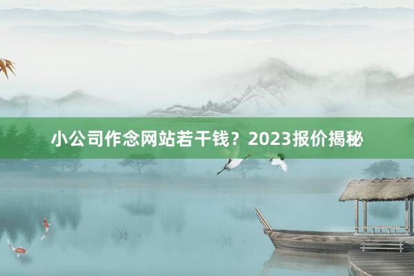 小公司作念网站若干钱？2023报价揭秘